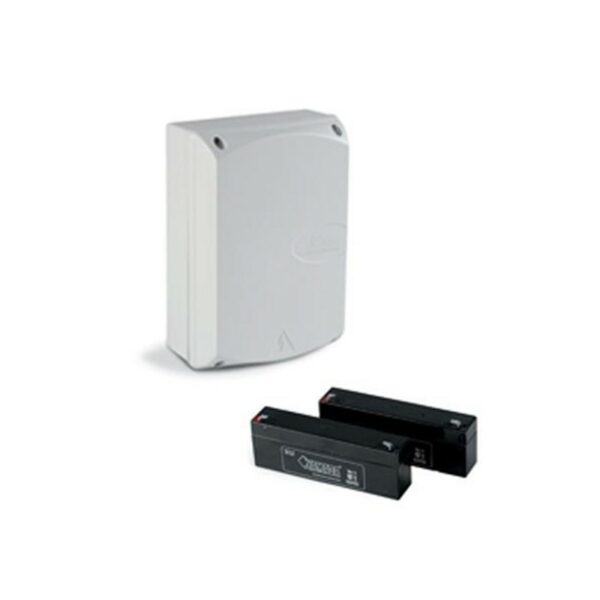 Pack de 2 Batteries BBU20 Ditec